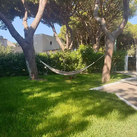M40 Acoteias -jardim, Piscina, Falesia Villa *
