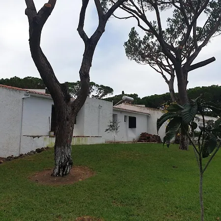 M40 Acoteias -jardim, Piscina, Falesia Albufeira